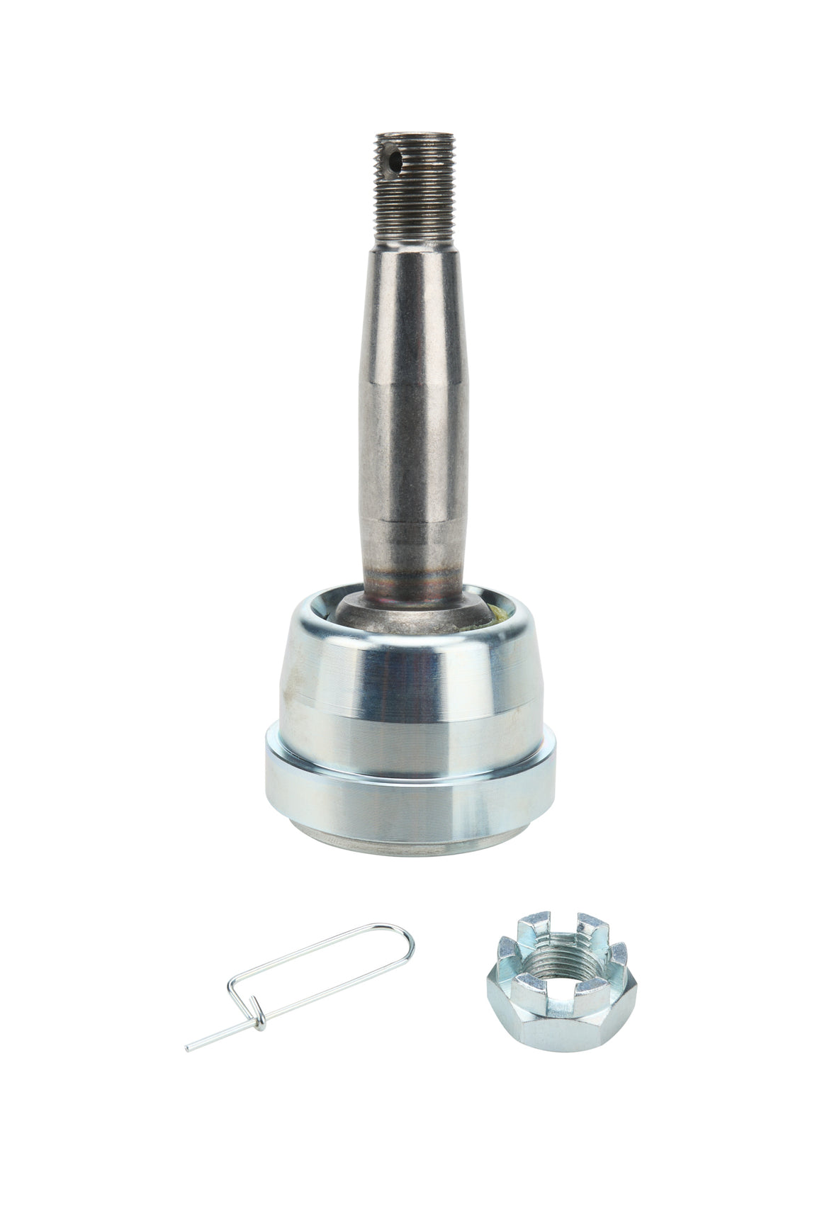 ALL56029.jpg