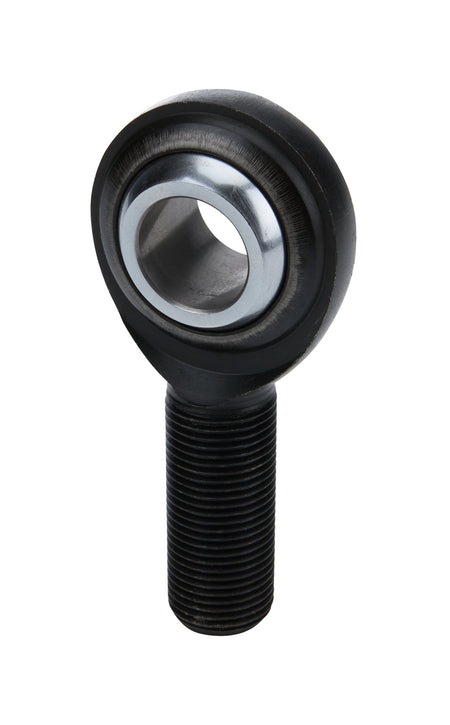 ALL58082.jpg