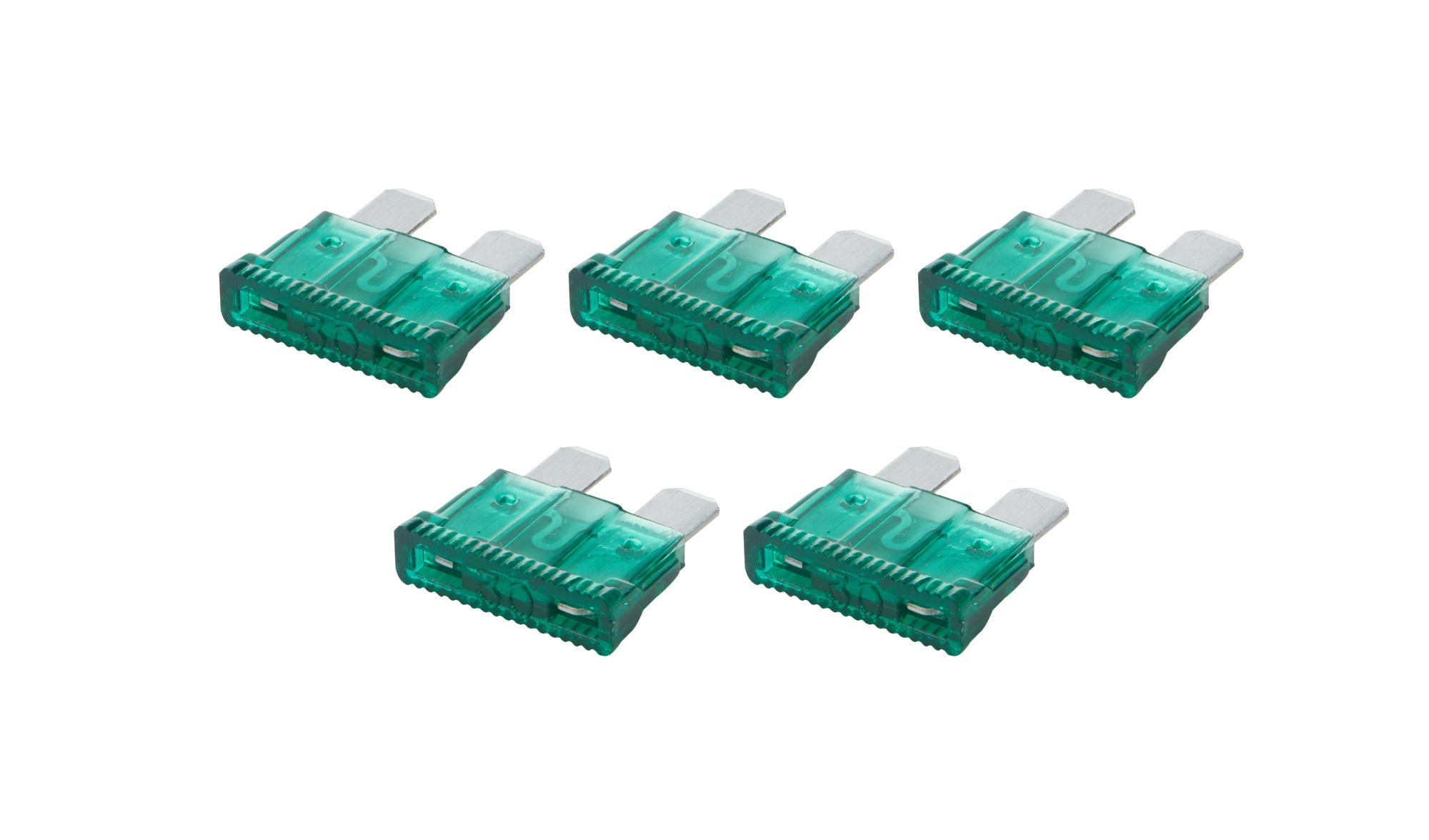 ALL76369.jpg
