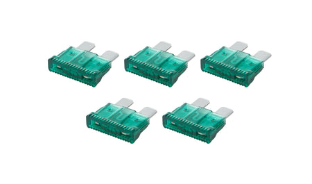 ALL76369.jpg