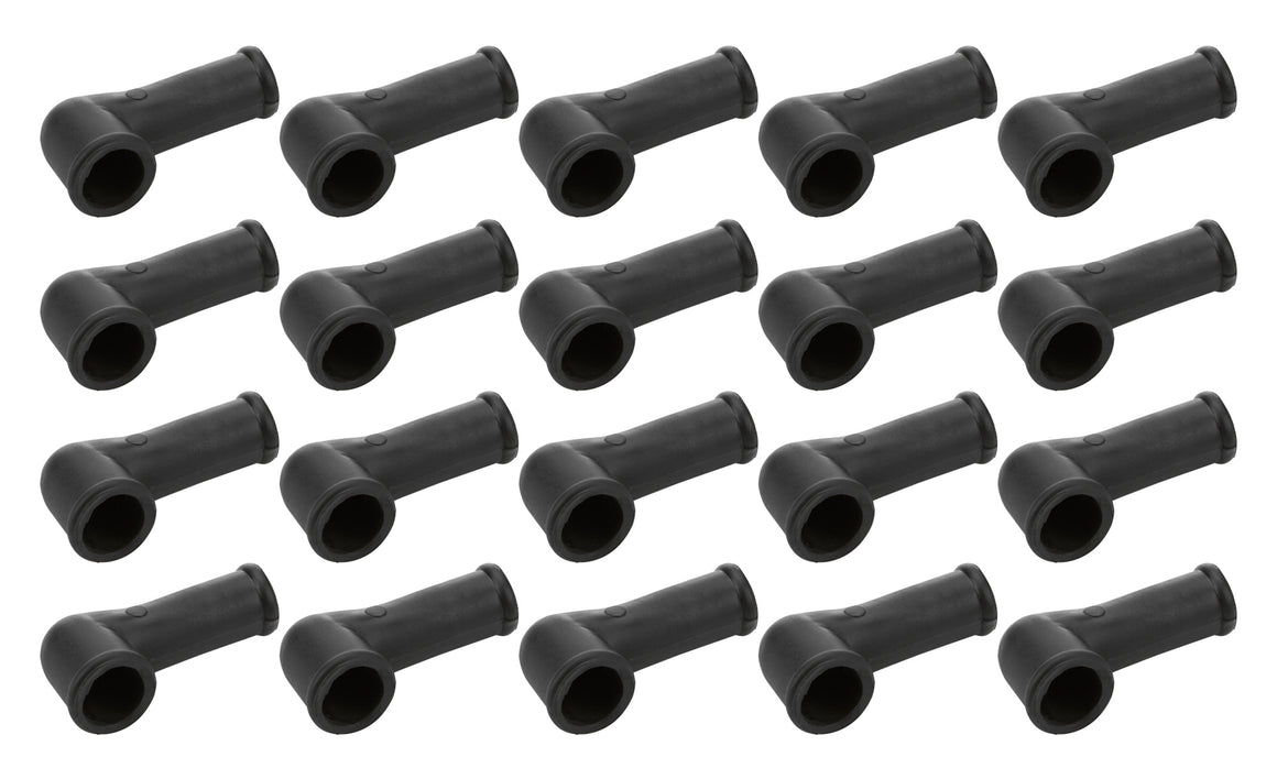 ALL99501.jpg