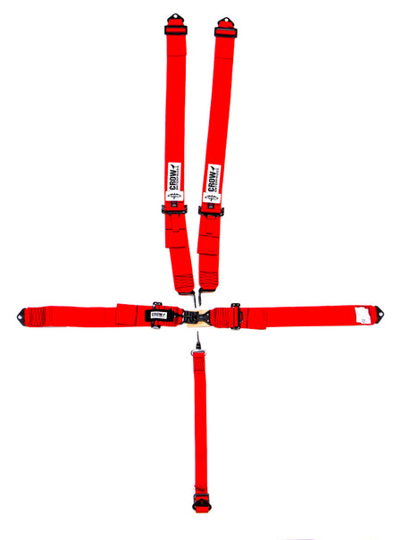 CRW11002B.jpg