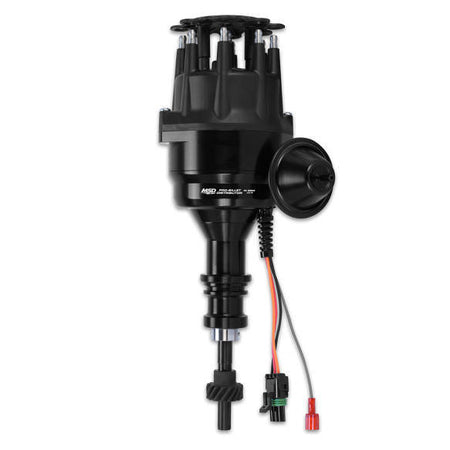 MSD83523.jpg