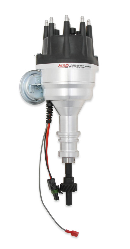 MSD83525.jpg