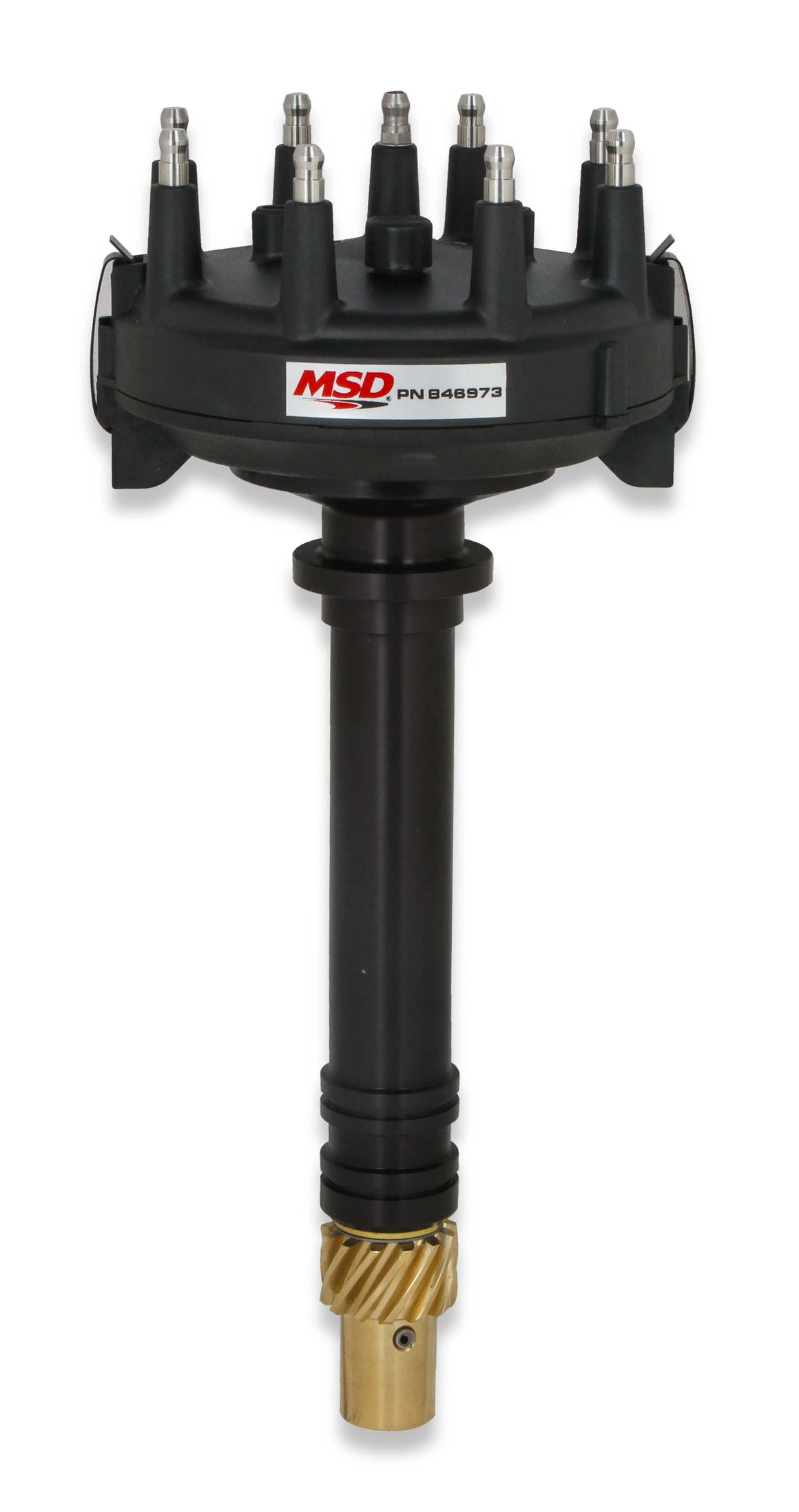 MSD846973.jpg