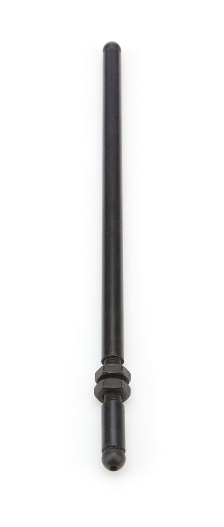 PFM67561.jpg