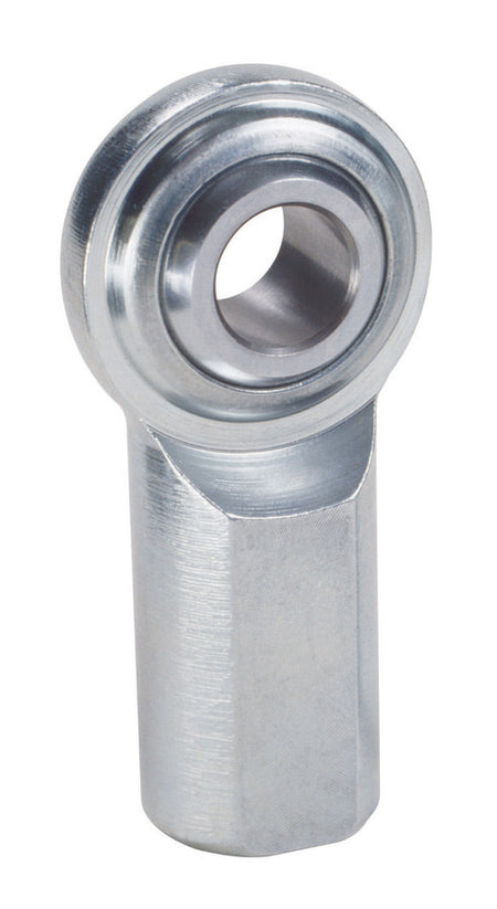 QA1CFL10.jpg