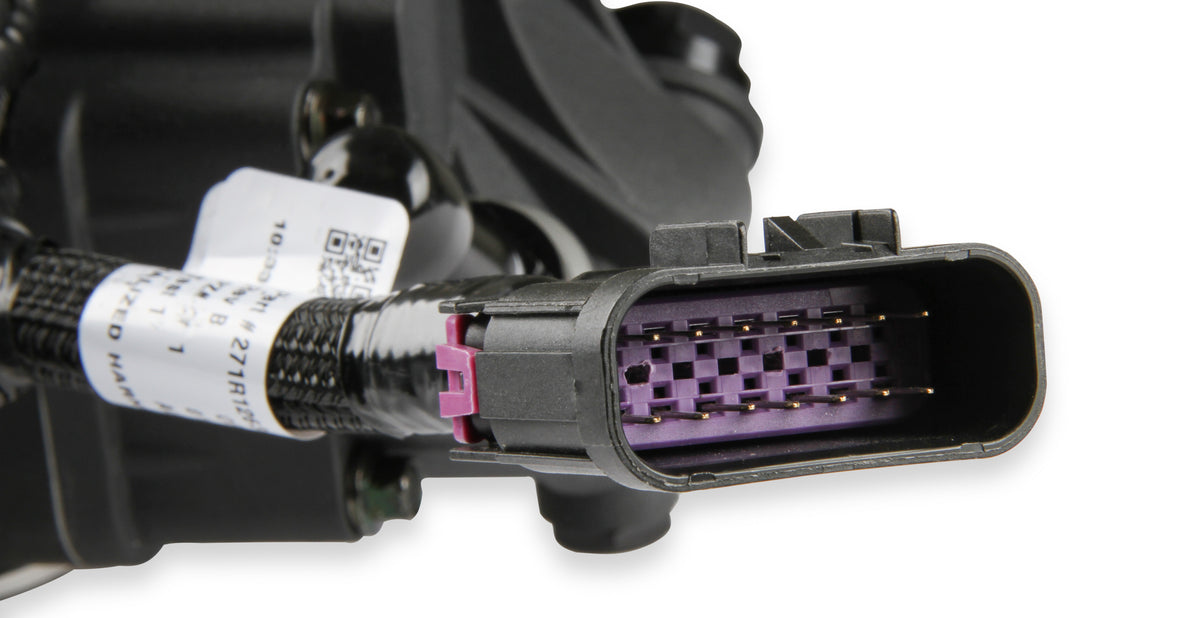 550-1005_12.jpg
