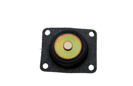 AED5337.jpg