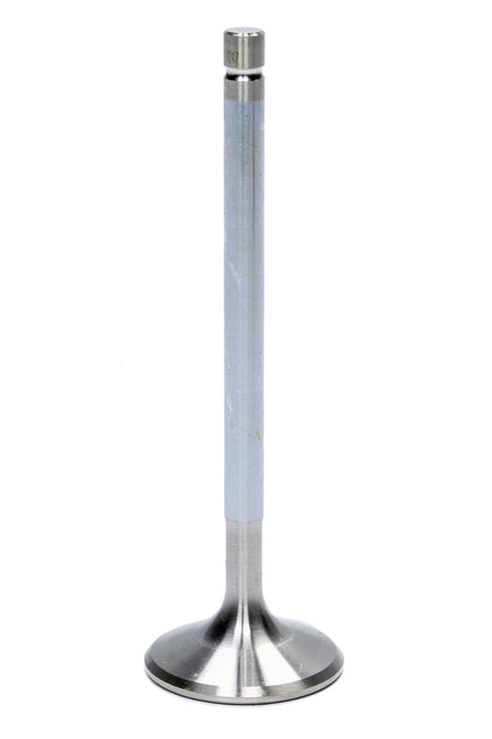 AFR7248-1.jpg