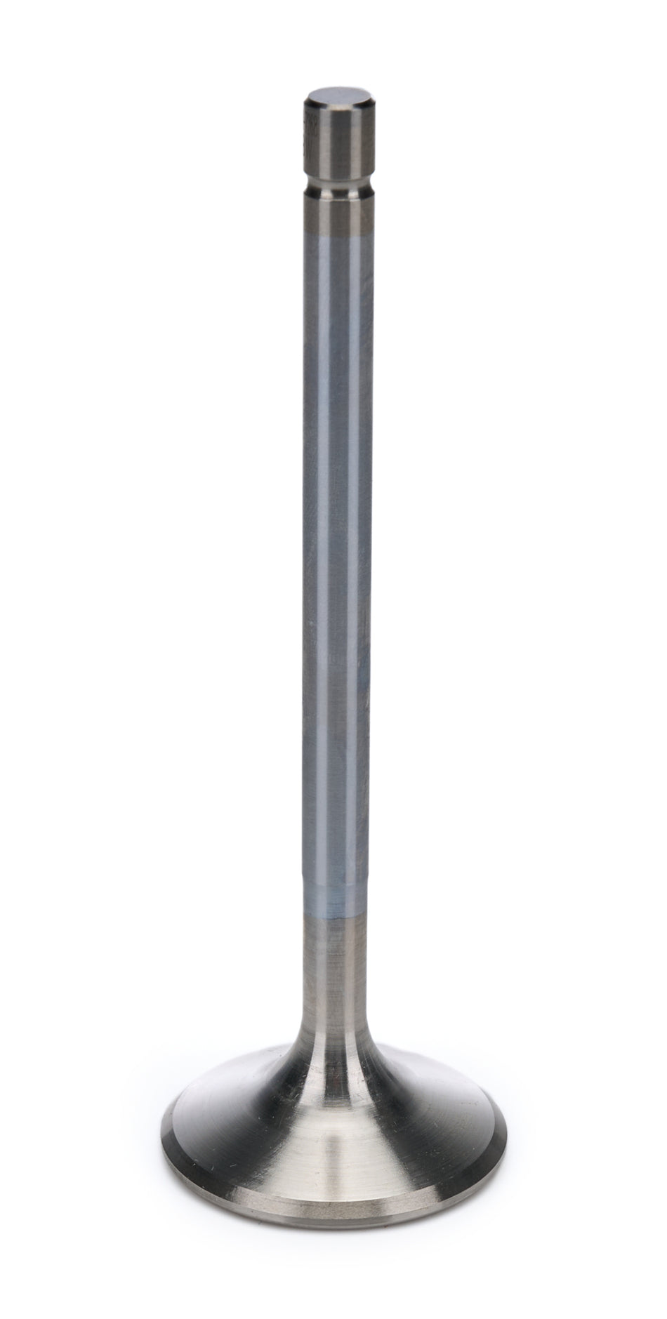 AFR7268-1.jpg