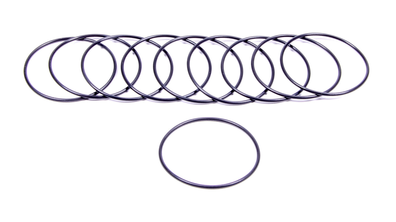 Filter O-Rings (10) 