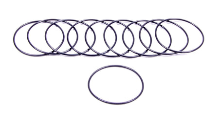 Filter O-Rings (10) 