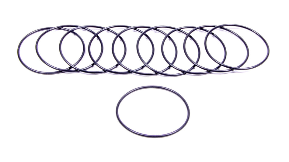 Filter O-Rings (10) 
