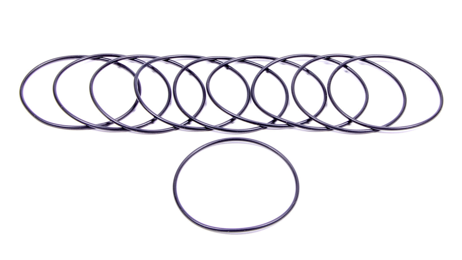 Filter O-Rings (10) 