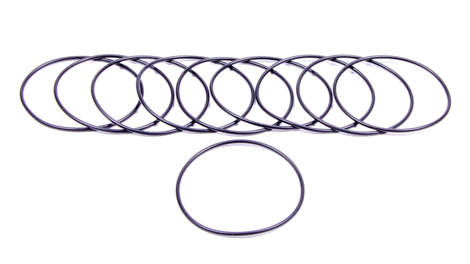 Filter O-Rings (10) 