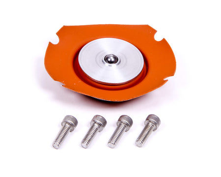 Regulator Service Kit 
