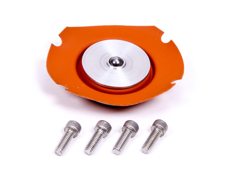 Regulator Service Kit 