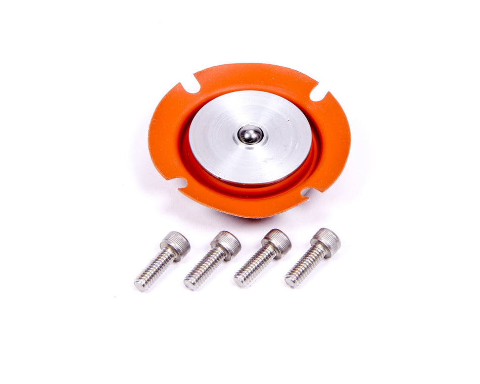 Regulator Service Kit 