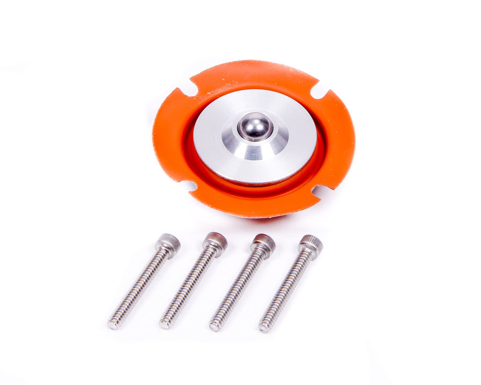 Regulator Service Kit 