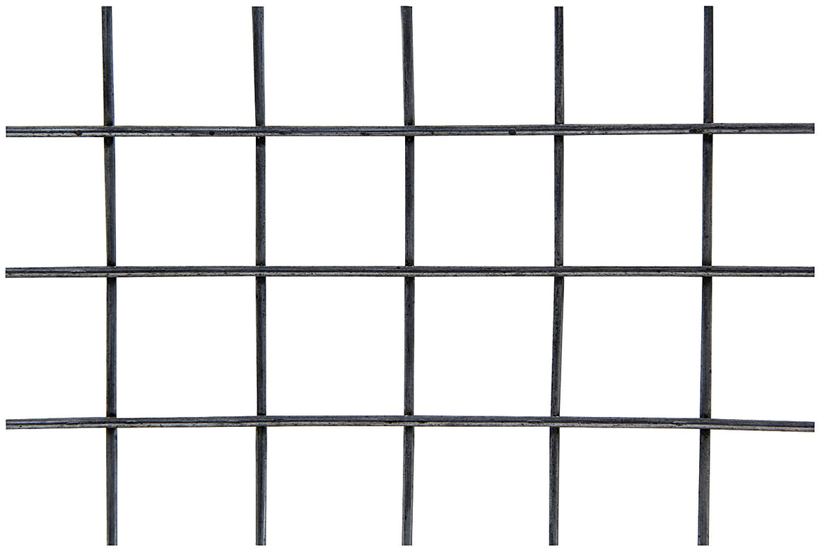ALL22276.jpg