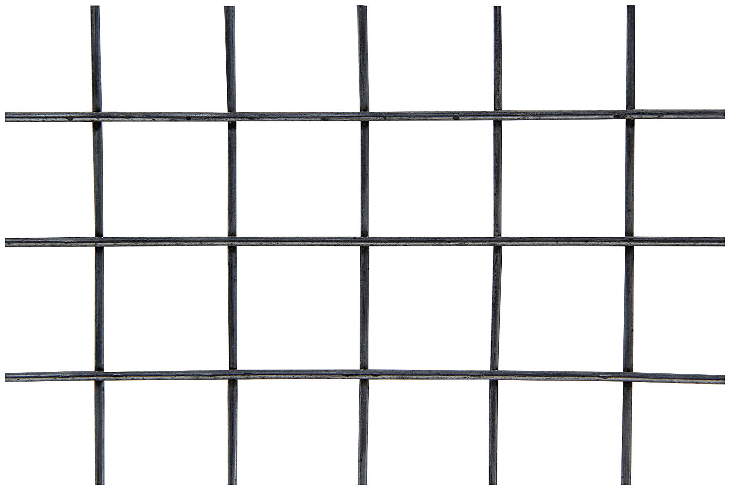 ALL22276.jpg