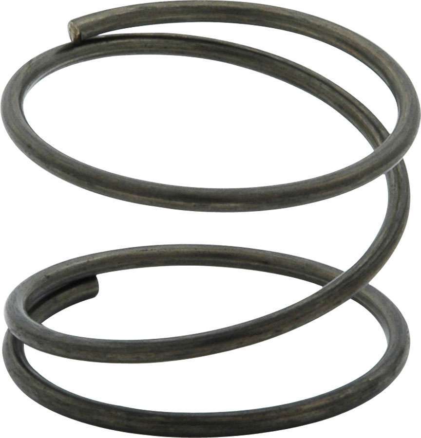 Fuel Filter Spring 
