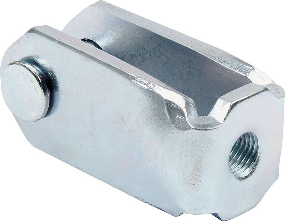 ALL41026.jpg