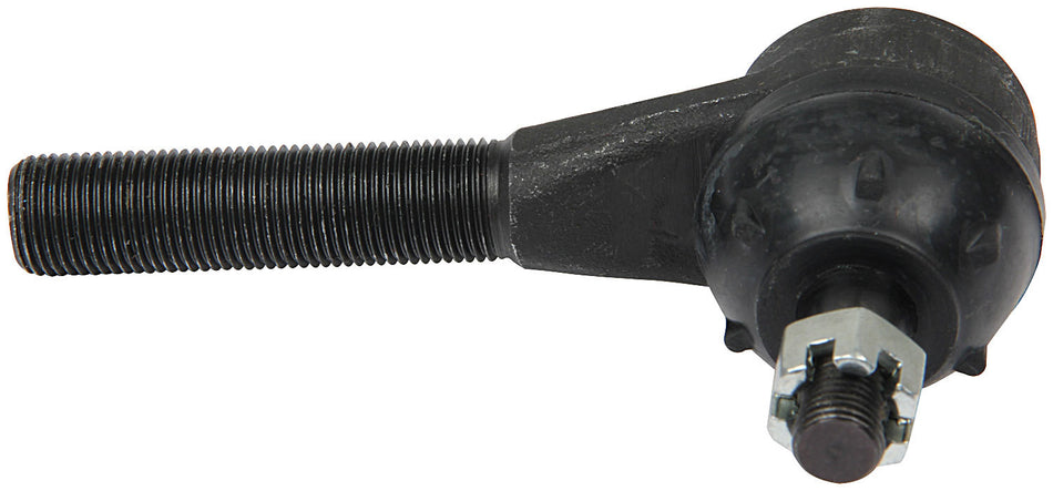 ALL55901.jpg