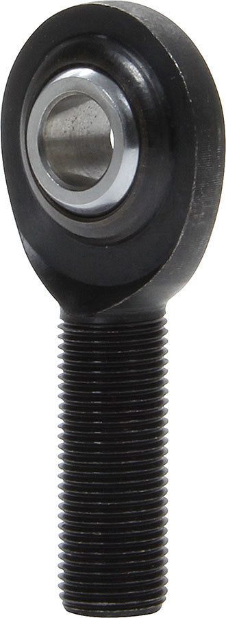 ALL58078.jpg
