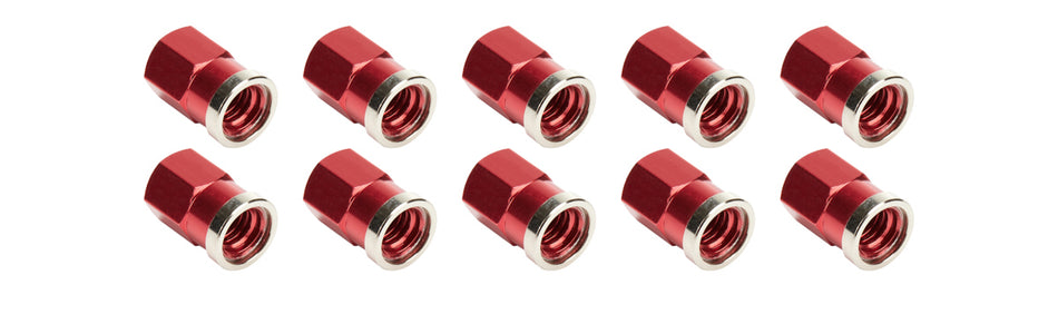 ALL72059.jpg