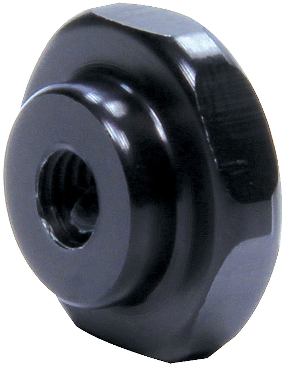 ALL99384.jpg
