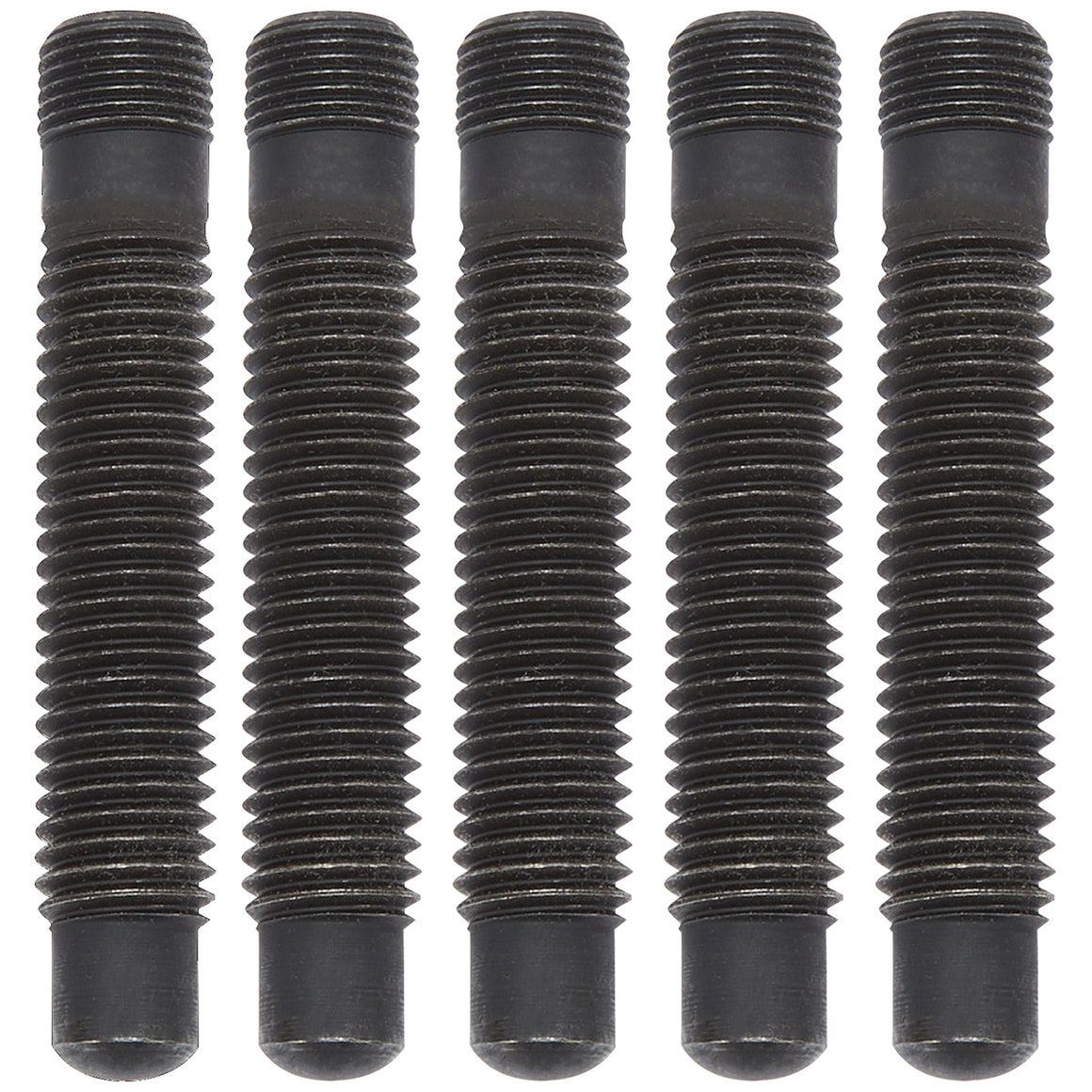ALL99491.jpg