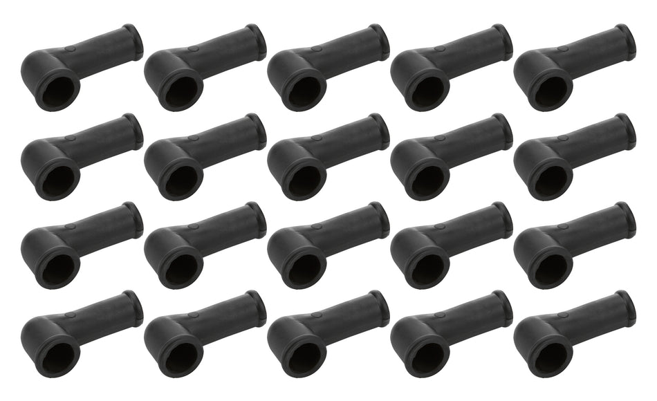 ALL99501.jpg