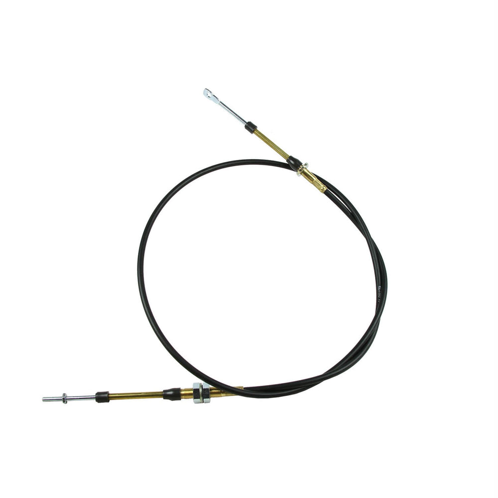 BMM81605.jpg