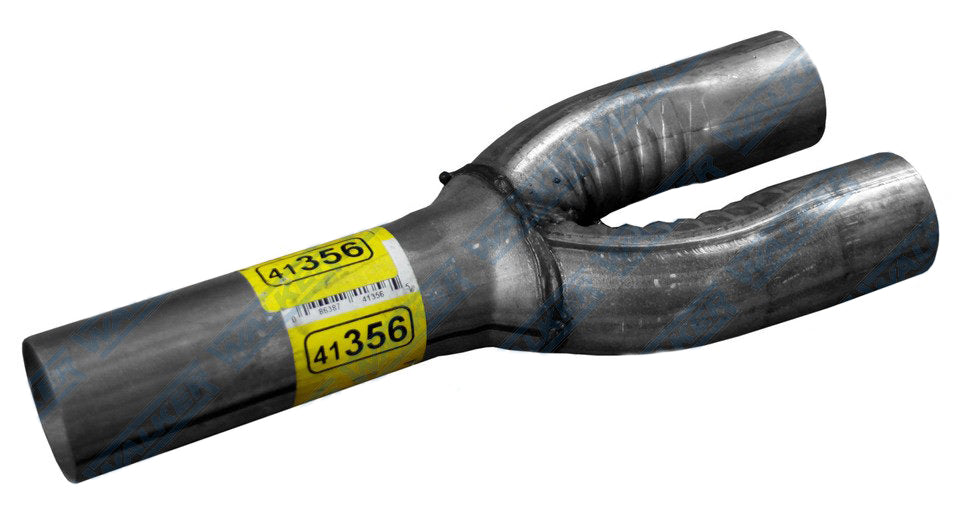 DYN41356.jpg