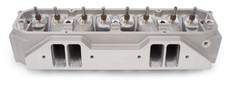 EDE77949.jpg