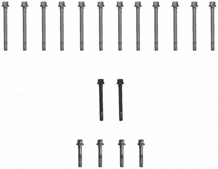 FELES72188.jpg