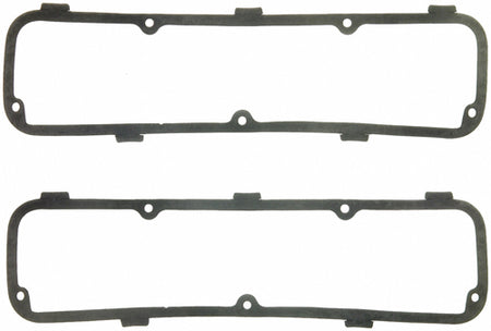 FELVS13049R.jpg