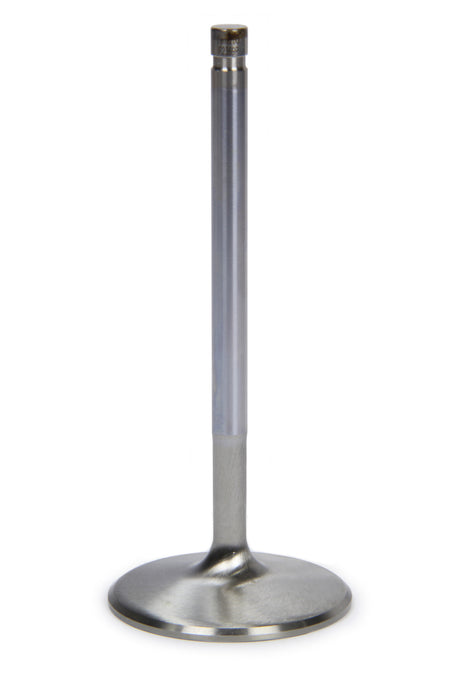FERF2369P.jpg