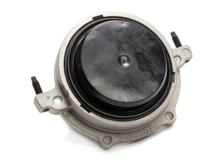 GMP12554312.jpg