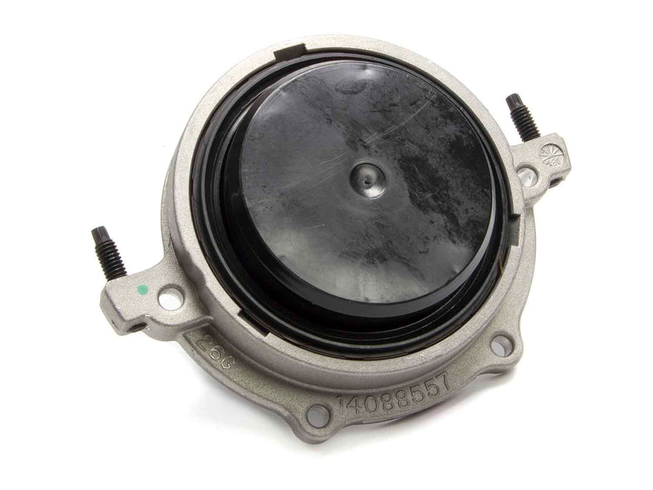 GMP12554312.jpg