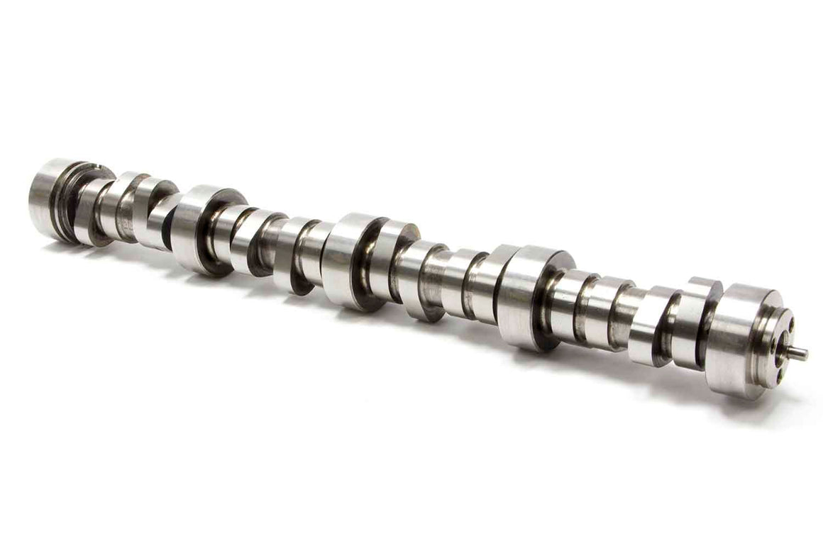 GMP12565308.jpg