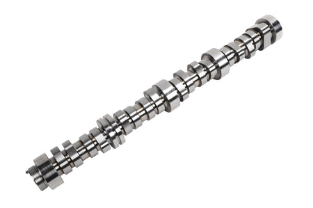 GMP12672469.jpg