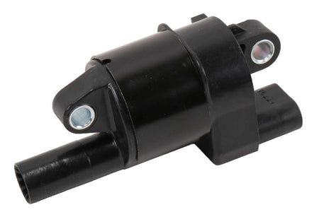 GMP12699382.jpg