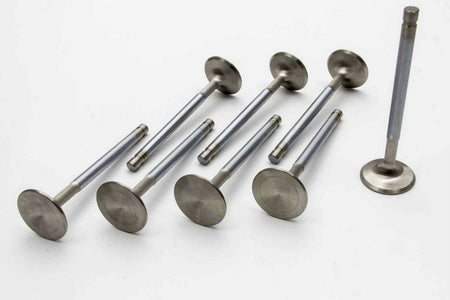 MAN11891-8.jpg