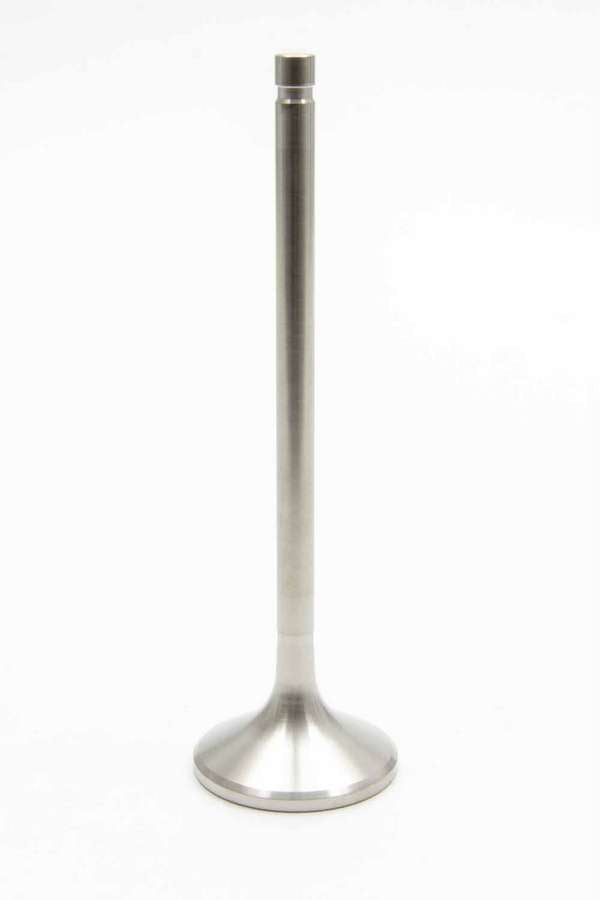 MAN11921-1.jpg
