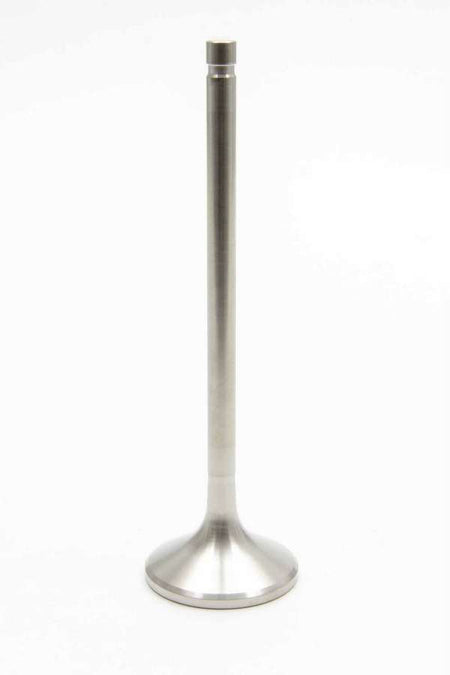 MAN11921-1.jpg