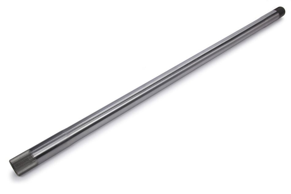 MPD300975-24.jpg