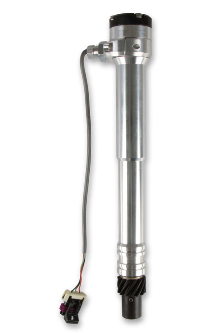 MSD85142.jpg